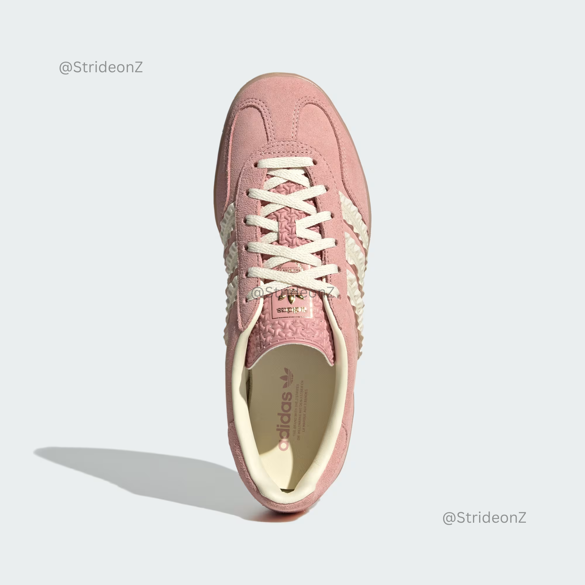 Gazelle Indoor - Image 3