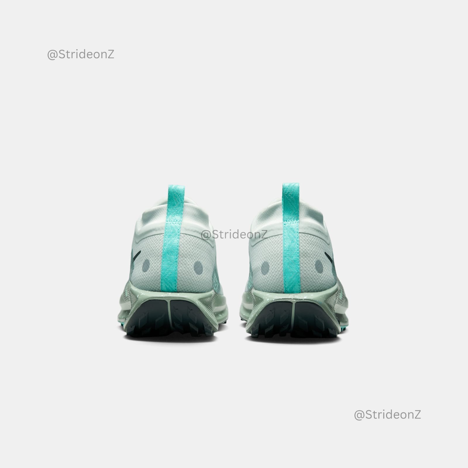 Pegasus Trail 5 GTEX - Image 4